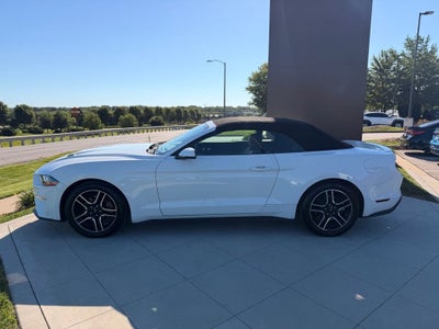 2019 Ford Mustang EcoBoost Premium