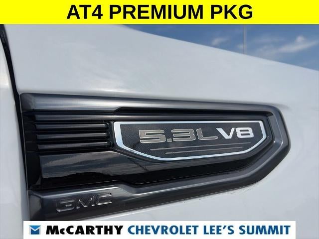 2019 GMC Sierra 1500 AT4